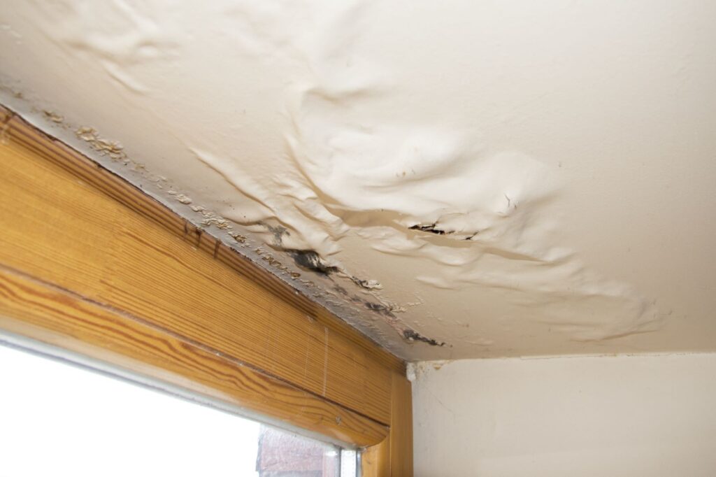 Small Leak Can Lead to Major Water Damage